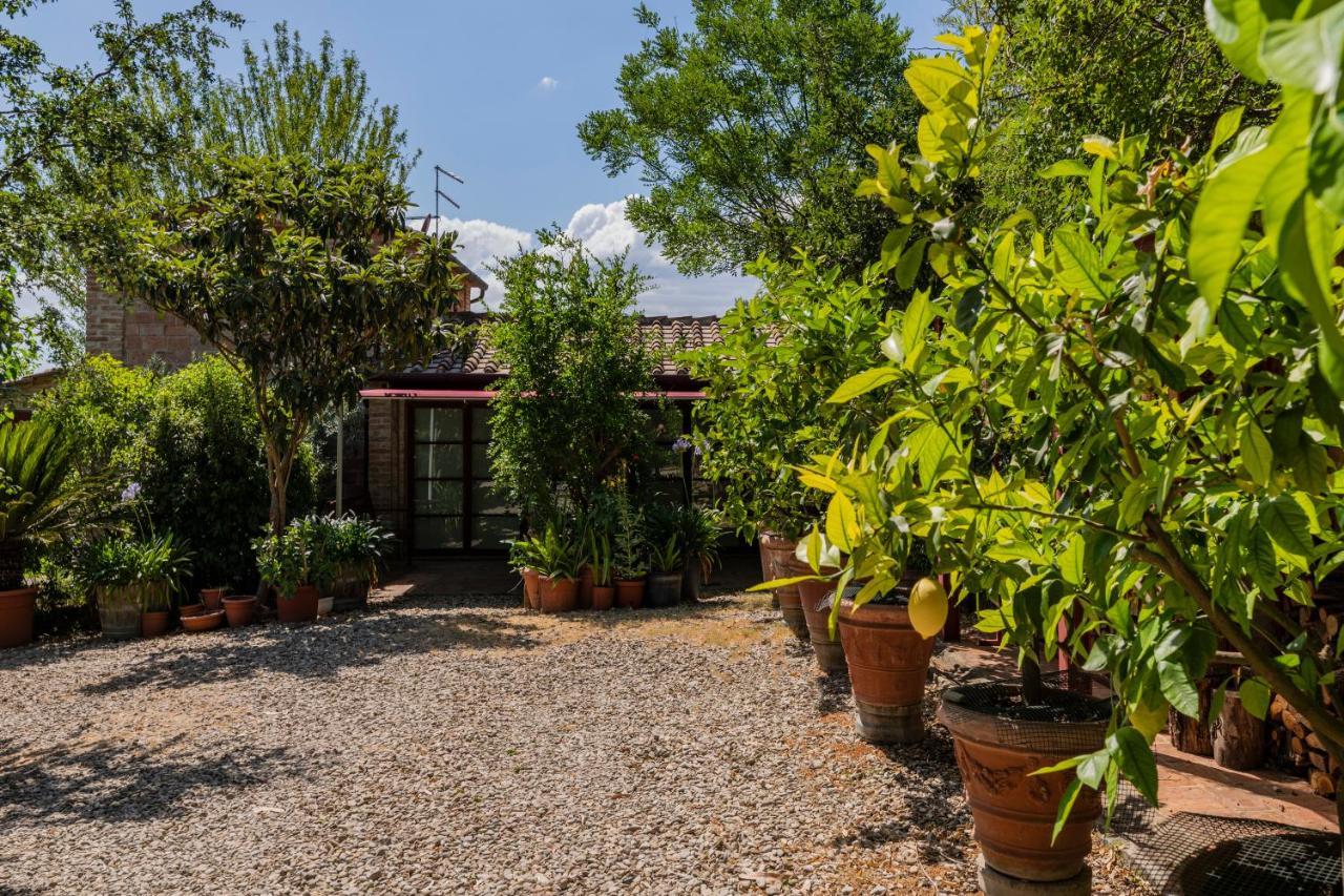 Casa Vignacce Villa Marciano della Chiana Esterno foto