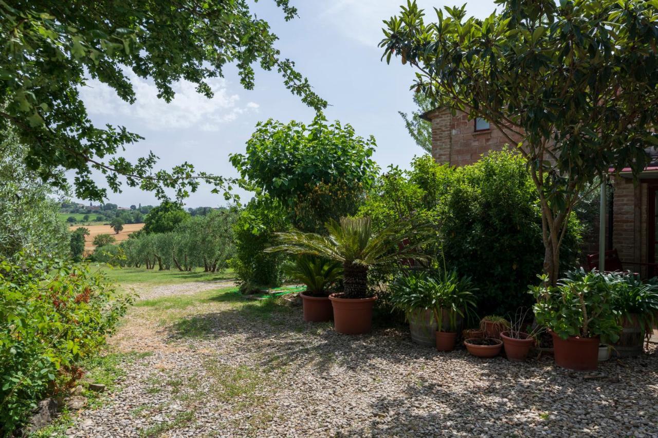 Casa Vignacce Villa Marciano della Chiana Esterno foto