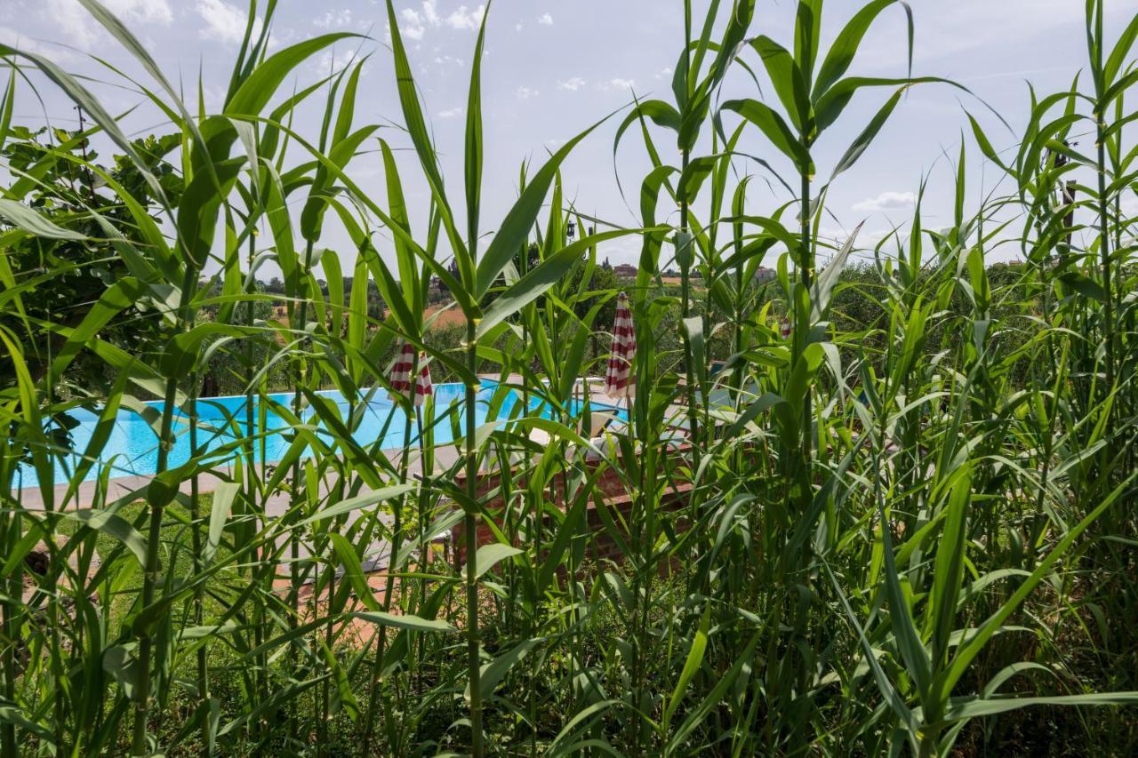Casa Vignacce Villa Marciano della Chiana Esterno foto