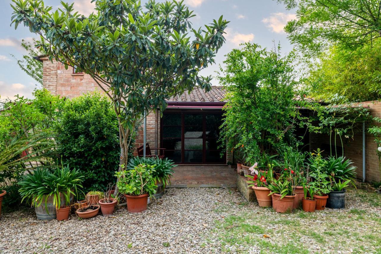 Casa Vignacce Villa Marciano della Chiana Esterno foto